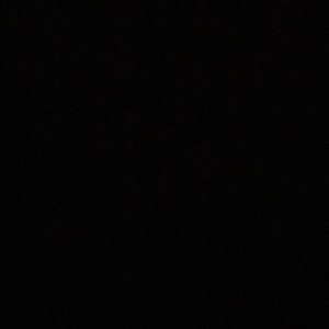 Meet your Posher, Donnie